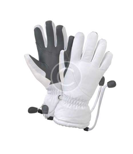 Ski Gloves